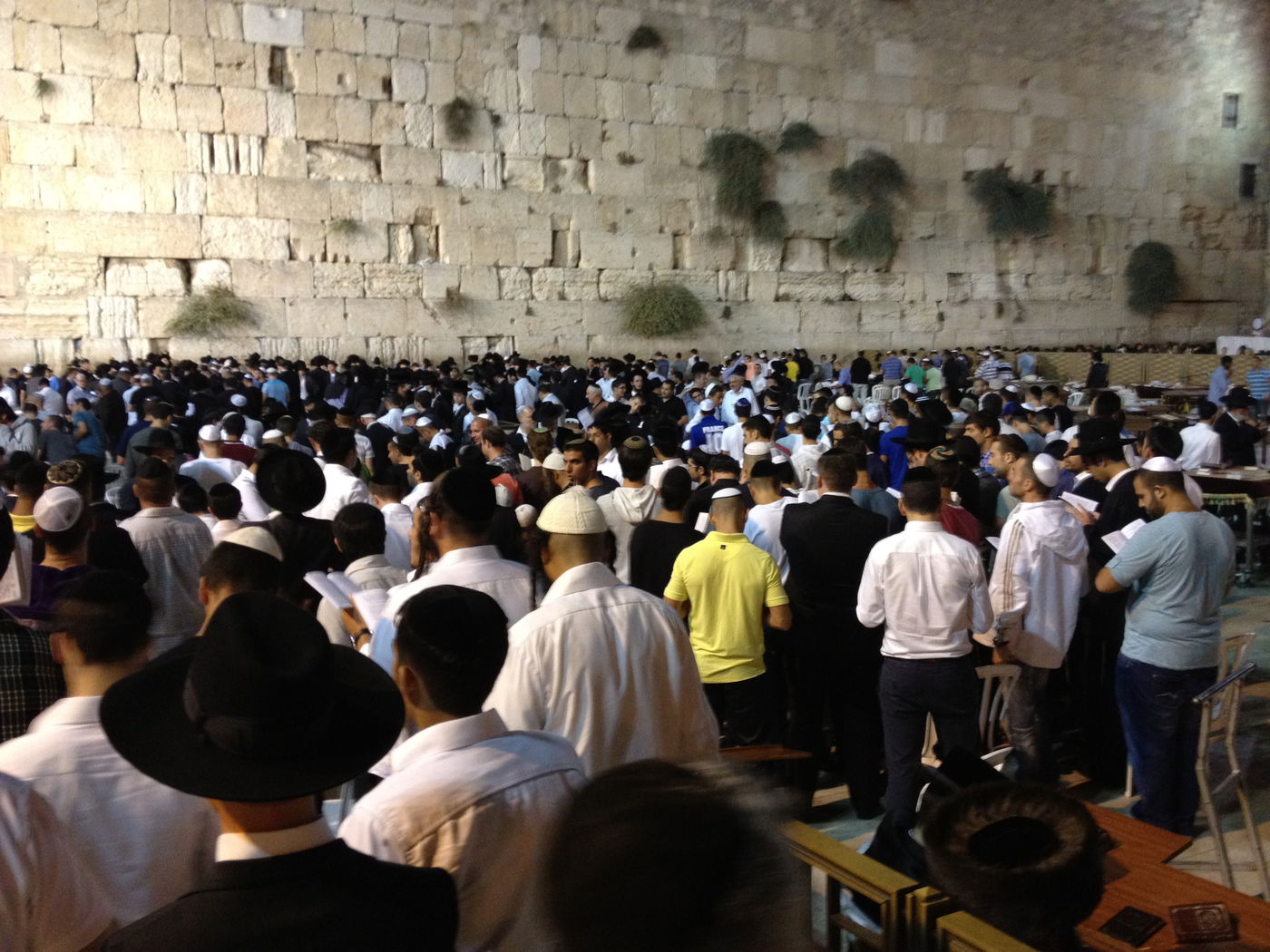 בְּמוֹצָאֵי מְנוּחָה: אלפים באמירת סליחות בכותל