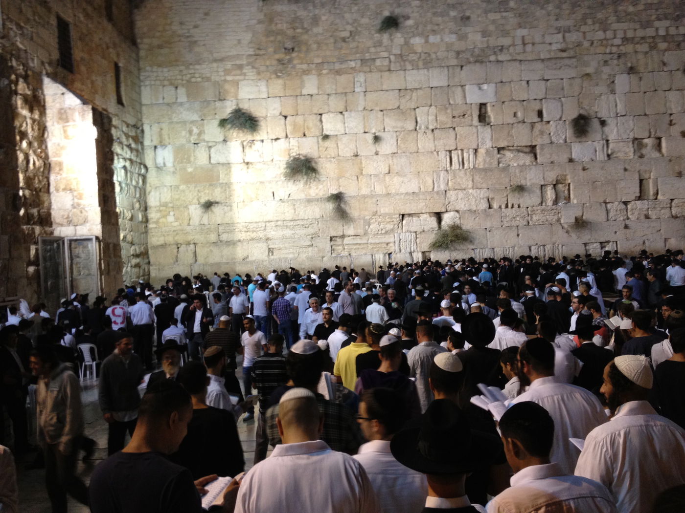 בְּמוֹצָאֵי מְנוּחָה: אלפים באמירת סליחות בכותל