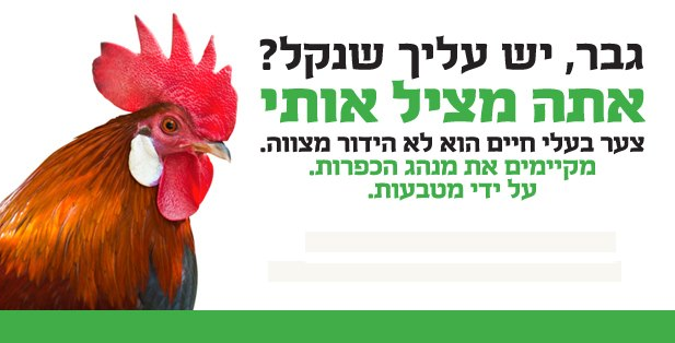 מתוך הקמפיין (צילום מסך)