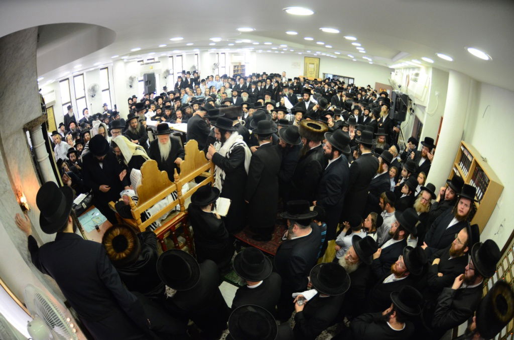 שמחת ויז'ניץ-סאטמר: צפו בגלריה