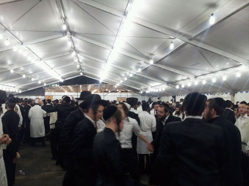 אומן: מתקשים להיפרד מרבינו