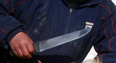 אילוסטרציה