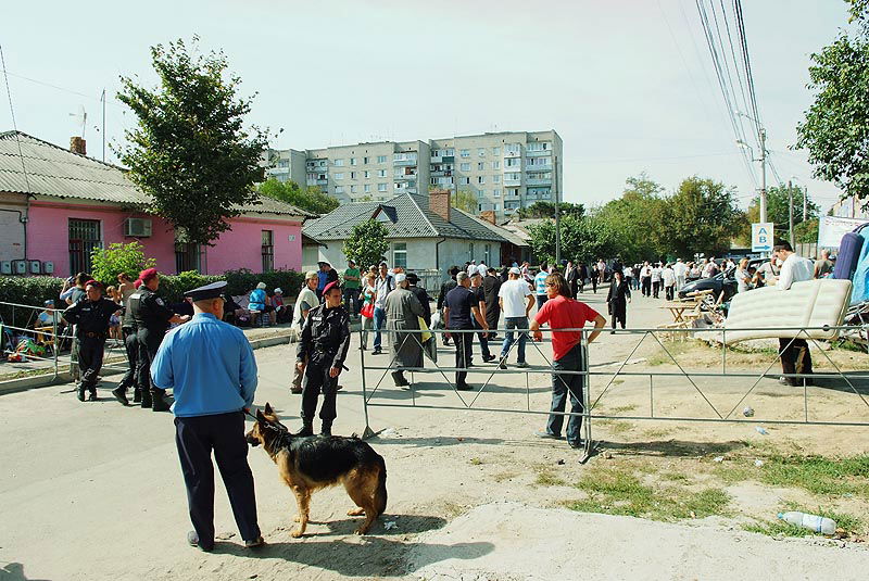 אומן בעדשת אמן: צפו בגלריית ענק