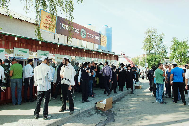 אומן בעדשת אמן: צפו בגלריית ענק