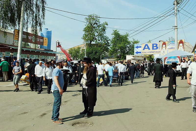 אומן בעדשת אמן: צפו בגלריית ענק