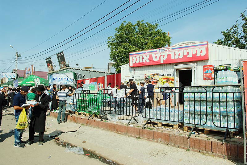 אומן בעדשת אמן: צפו בגלריית ענק