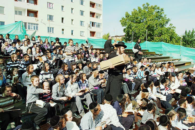 אומן בעדשת אמן: צפו בגלריית ענק