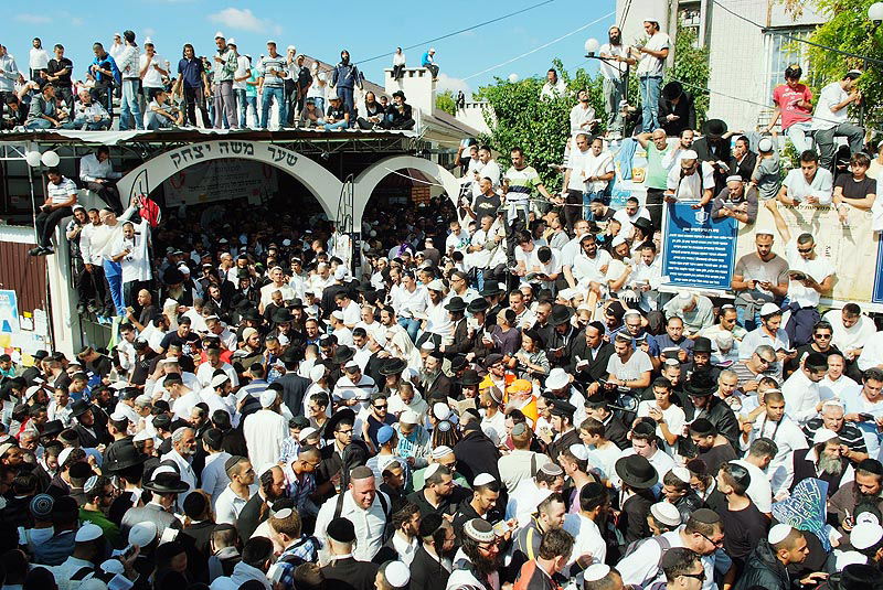 אומן בעדשת אמן: צפו בגלריית ענק