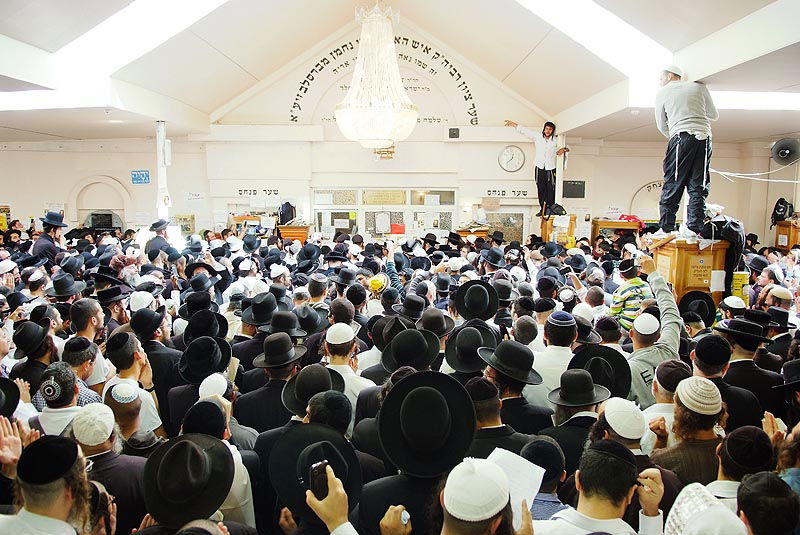 אומן בעדשת אמן: צפו בגלריית ענק