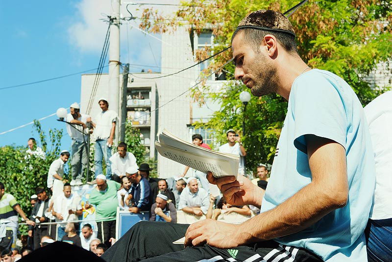 אומן בעדשת אמן: צפו בגלריית ענק