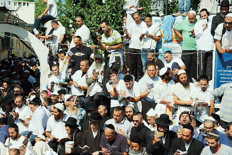 אומן בעדשת אמן: צפו בגלריית ענק