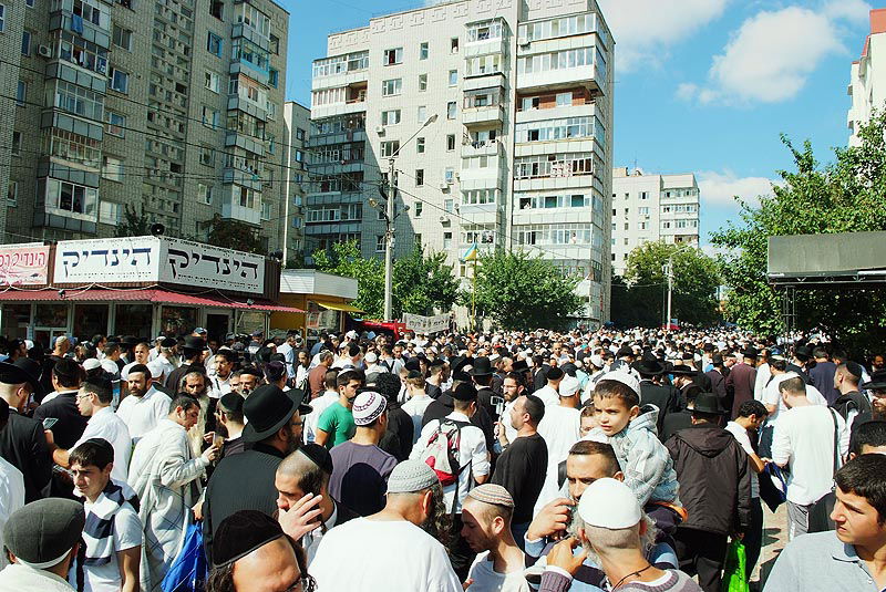 אומן בעדשת אמן: צפו בגלריית ענק