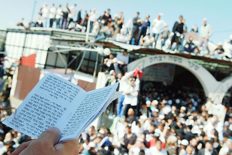 אומן בעדשת אמן: צפו בגלריית ענק