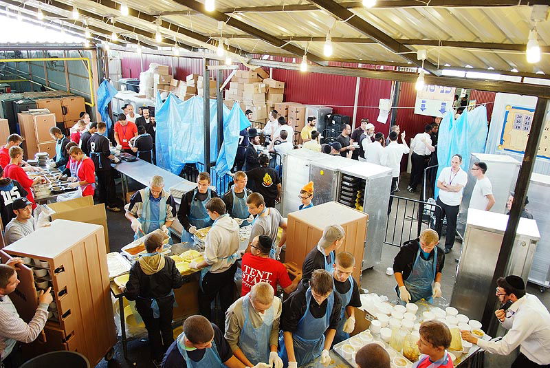 אומן בעדשת אמן: צפו בגלריית ענק