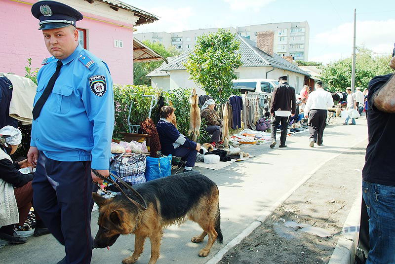 אומן בעדשת אמן: צפו בגלריית ענק