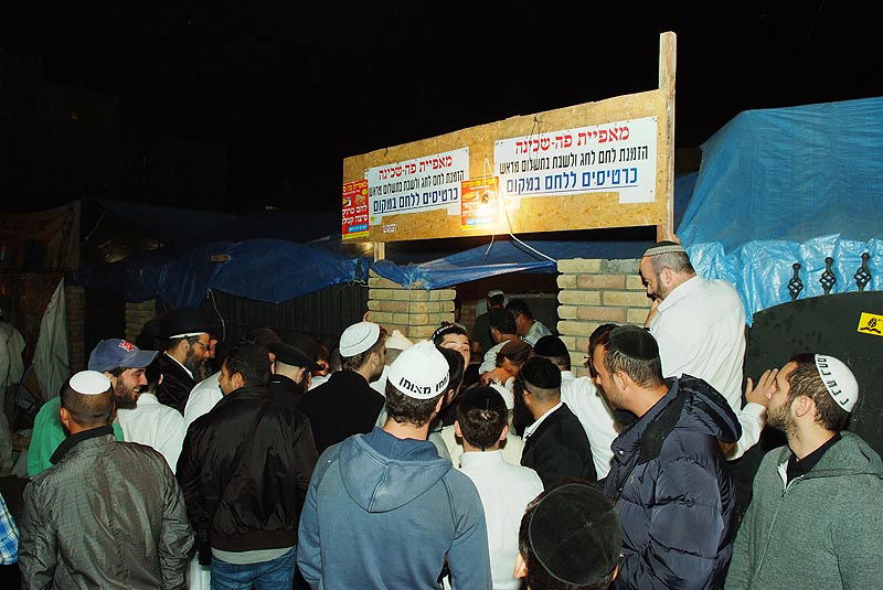 אומן בעדשת אמן: צפו בגלריית ענק