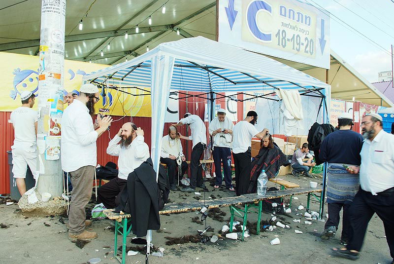 אומן בעדשת אמן: צפו בגלריית ענק