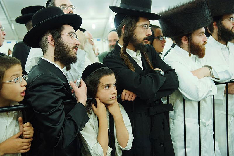 אומן בעדשת אמן: צפו בגלריית ענק