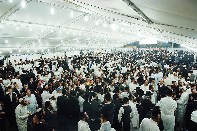 אומן בעדשת אמן: צפו בגלריית ענק