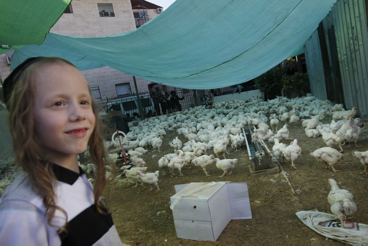 כך מכפרים במאה שערים