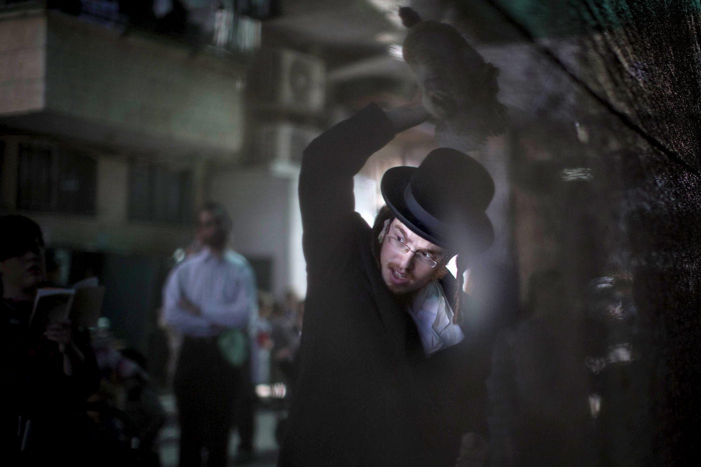 זֶה הַתַּרְנְגוֹל יֵלֵךְ • מנהג ה'כפרות' במאה שערים