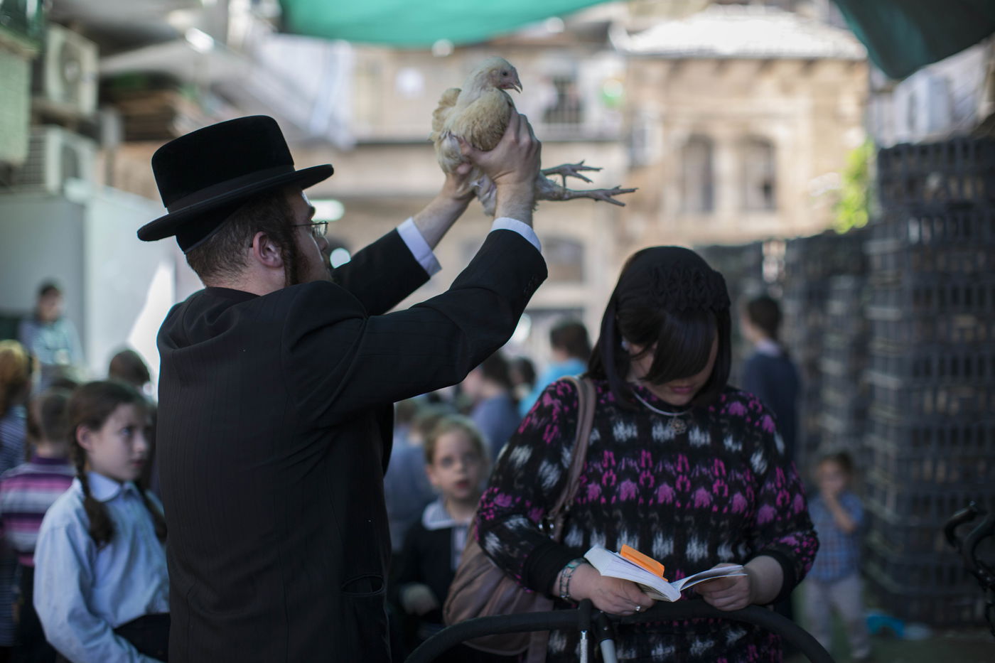 זֶה הַתַּרְנְגוֹל יֵלֵךְ • מנהג ה'כפרות' במאה שערים