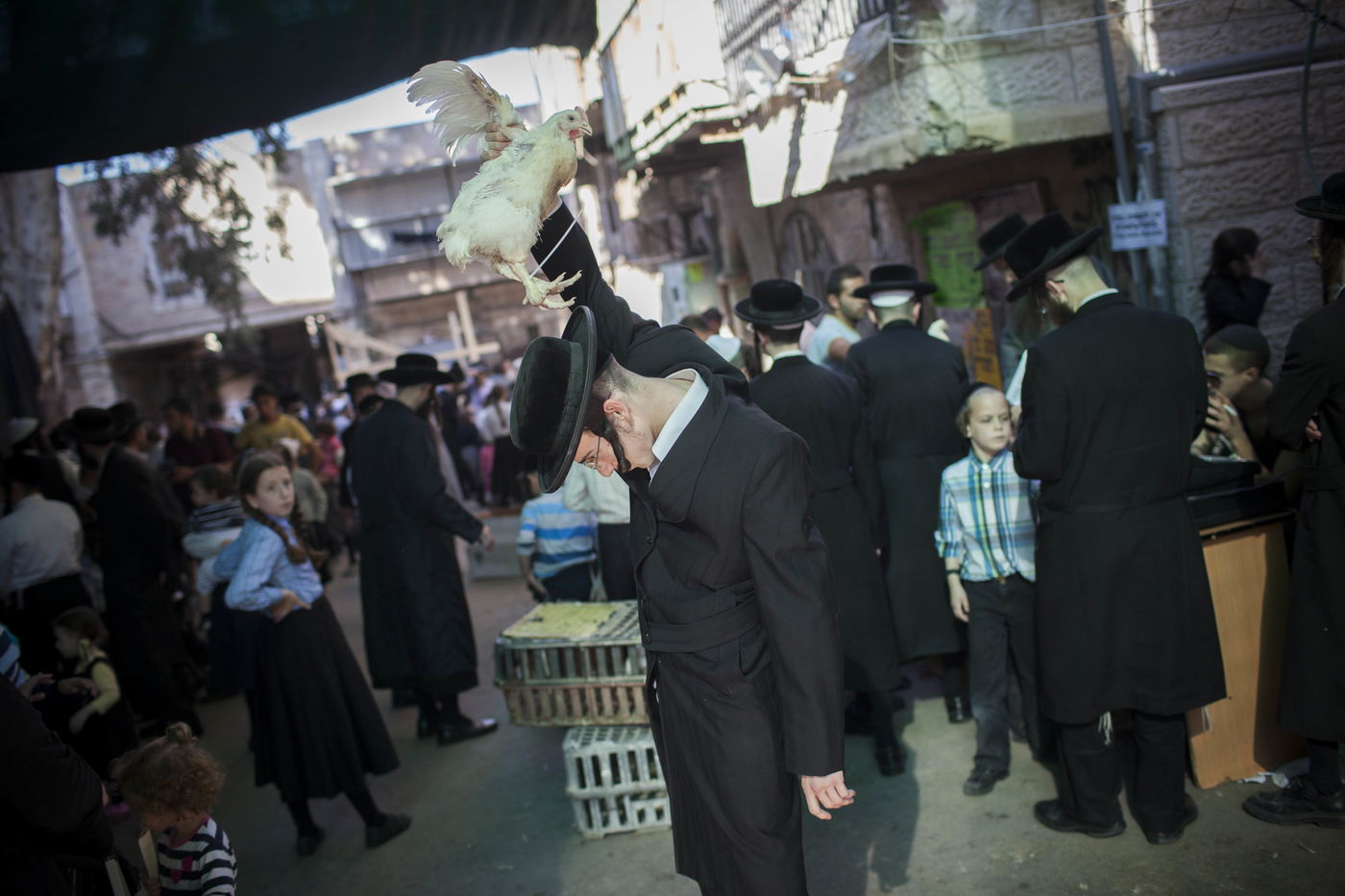 זֶה הַתַּרְנְגוֹל יֵלֵךְ • מנהג ה'כפרות' במאה שערים