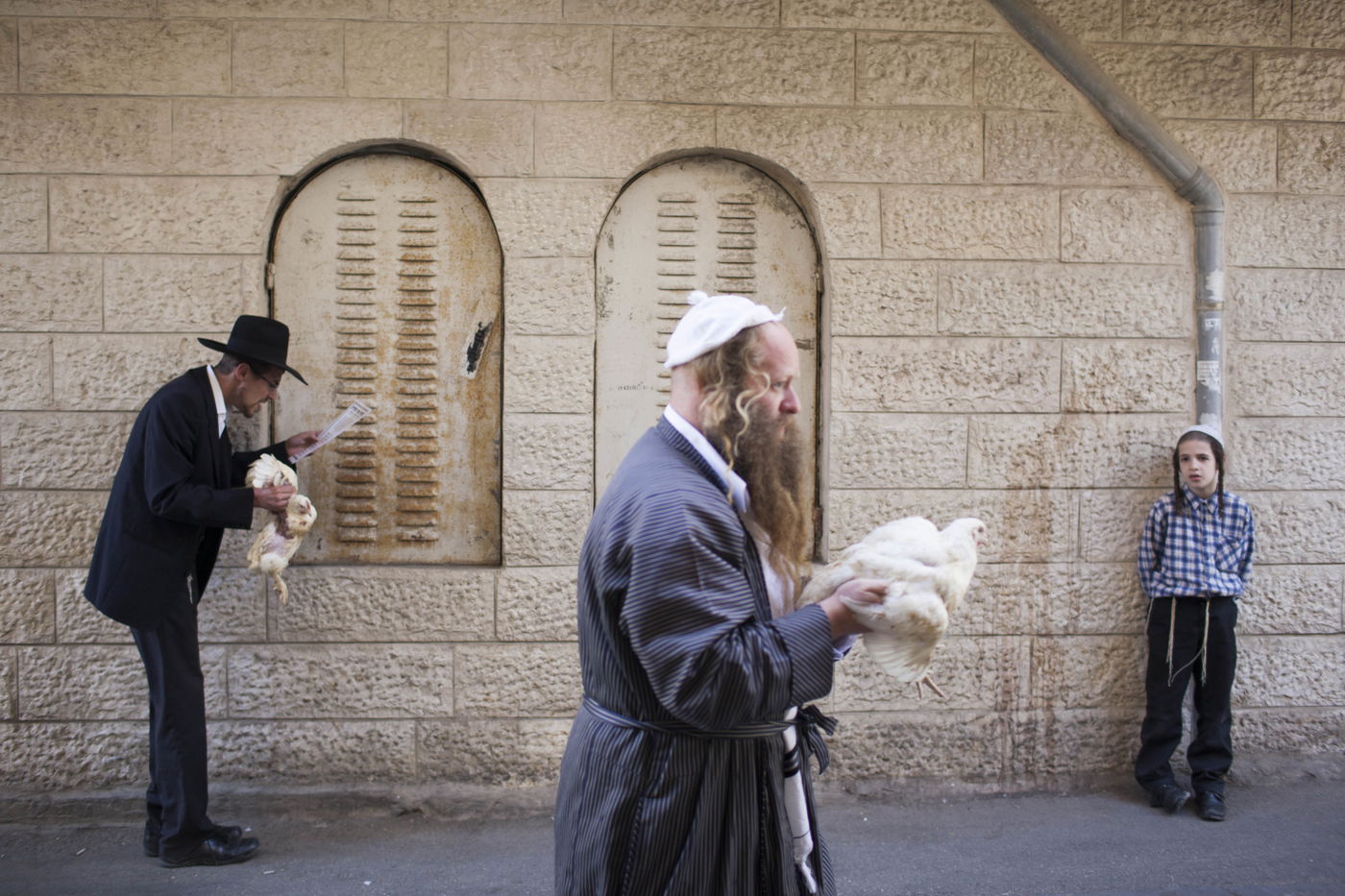 זֶה הַתַּרְנְגוֹל יֵלֵךְ • מנהג ה'כפרות' במאה שערים