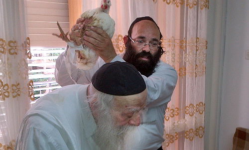 הגר"נ, השוחט והתרנגול