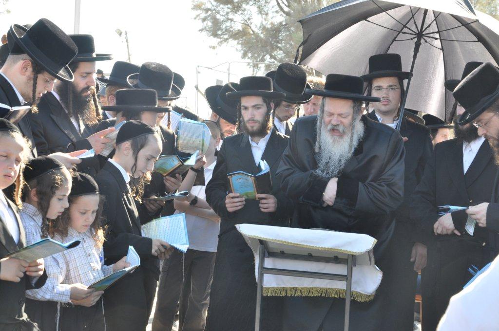 ערב יום הכיפורים: תשליך אחרון, כפרות בכל פינה