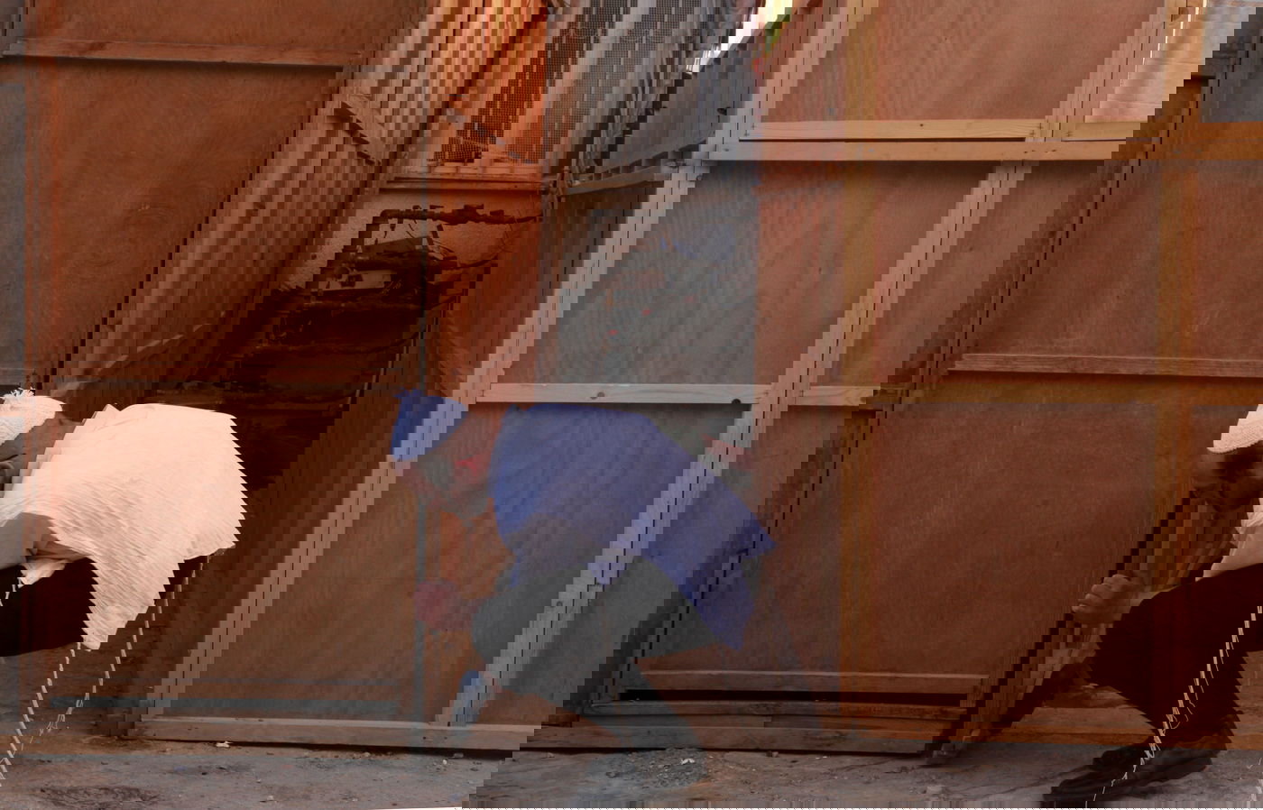 ערב החג: כך בונים סוכה