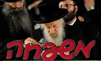 מרן הרב וואזנר ולוגו משפחה