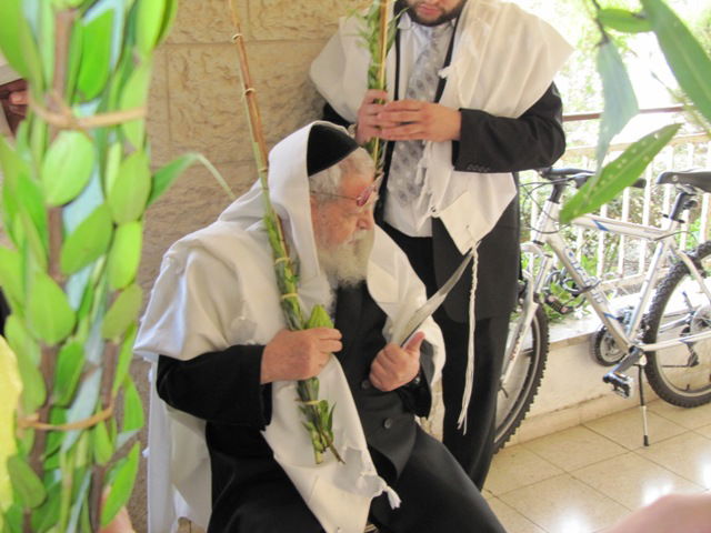 מרן הרב עובדיה יוסף עם הלולב מחוץ לסוכתו
