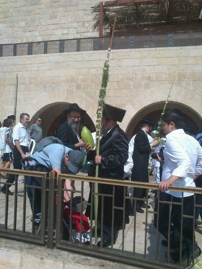 צפו: הושענא רבה בכותל המערבי