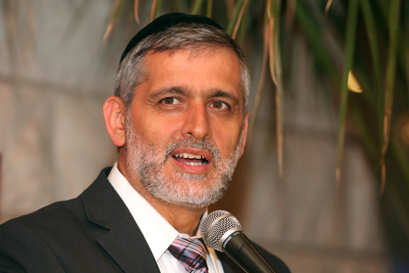 "מלוכה לאחר השלכתו למחשכי הכלא". אלי ישי