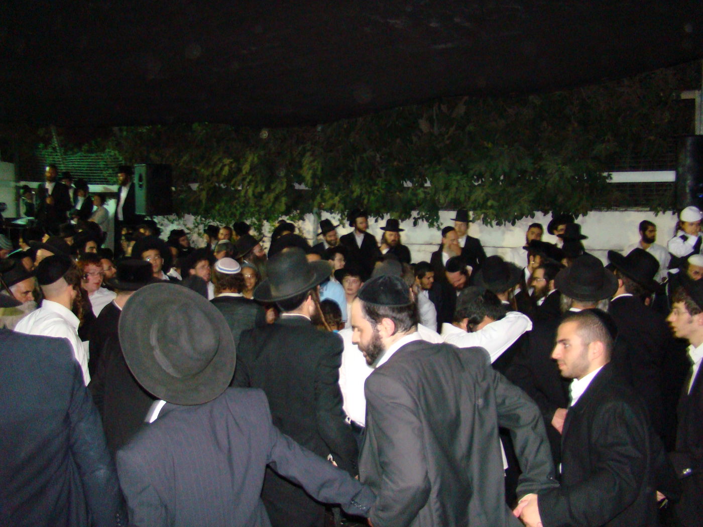 צפו בתמונות: הילולת שמעון הצדיק