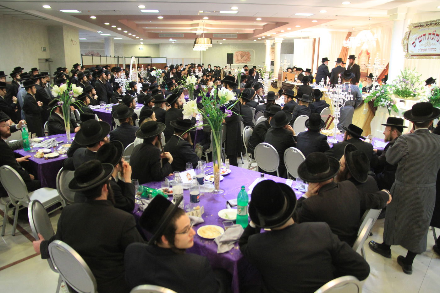 לסיים את הש"ס בכל שנה