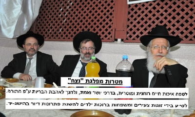 מנהיגי המפלגה והמטרות