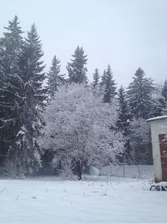 גלריה: לא רק בארה"ב, סופת שלגים ברוסיה