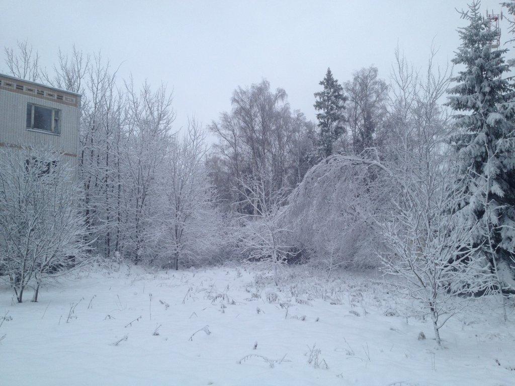 גלריה: לא רק בארה"ב, סופת שלגים ברוסיה