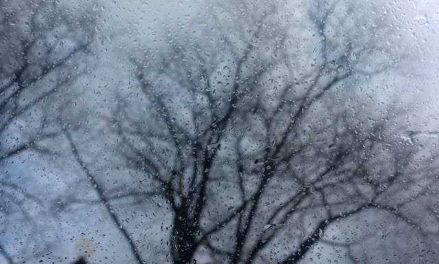 החורף חוזר: סוף שבוע גשום וקר