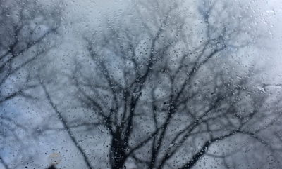 החורף חוזר: סוף שבוע גשום וקר