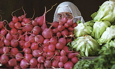 צפו: שיעורו השבועי של הרב יעקב יוסף