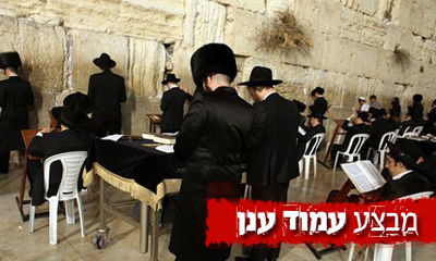 מתפללים בכותל המערבי