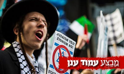 חסיד סאטמר קוראים קריאות בגנות ישראל