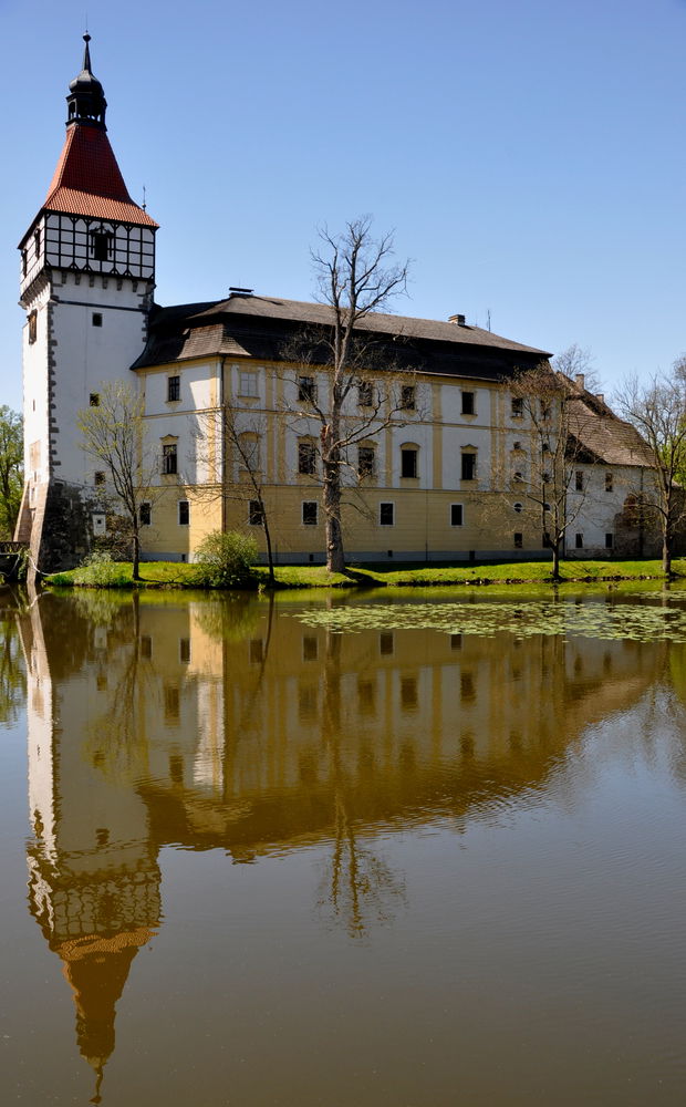 טירה לעניים, מגינה אבל בלי סטייל אצילי
