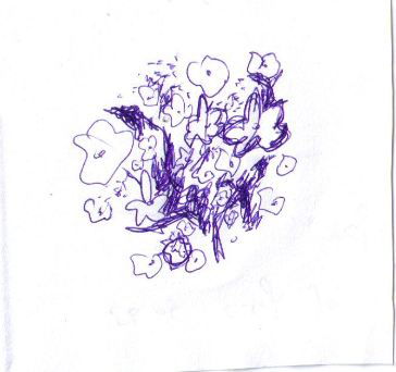 קשיים ומצוקות בראי השירבוט