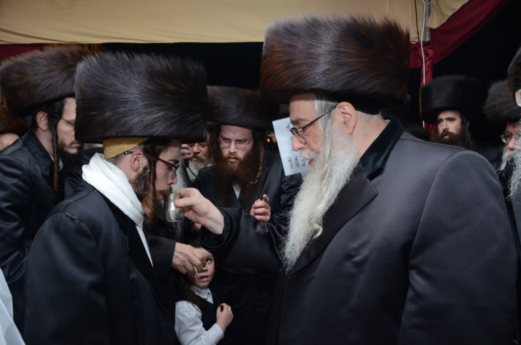 אלפים בשמחת נישואי נכדו הבכור של האדמו"ר מצאנז