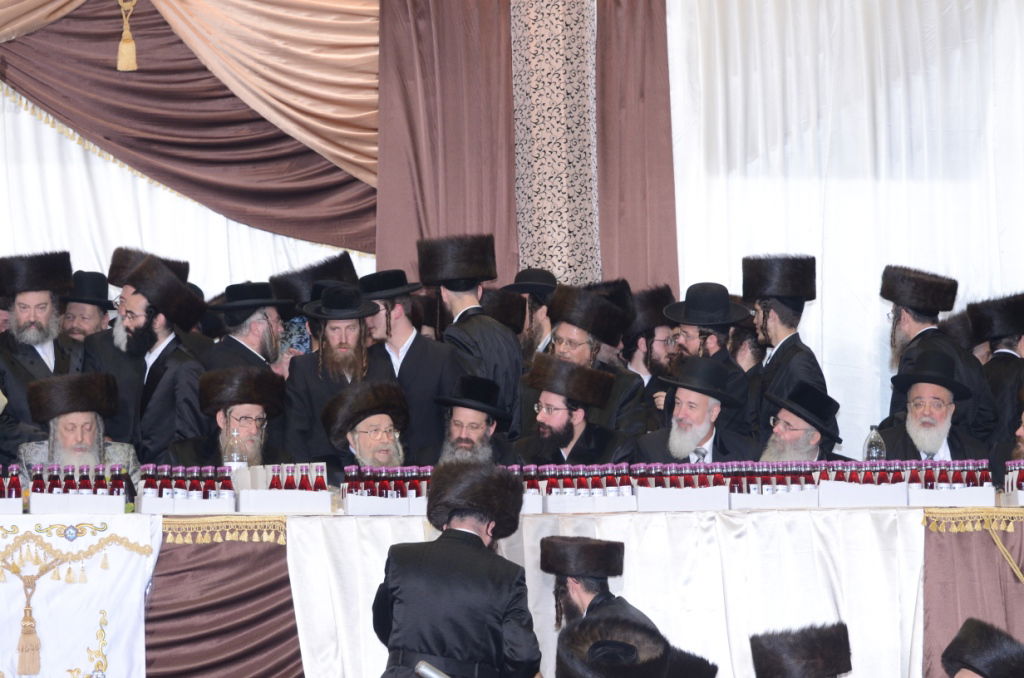 אלפים בשמחת נישואי נכדו הבכור של האדמו"ר מצאנז