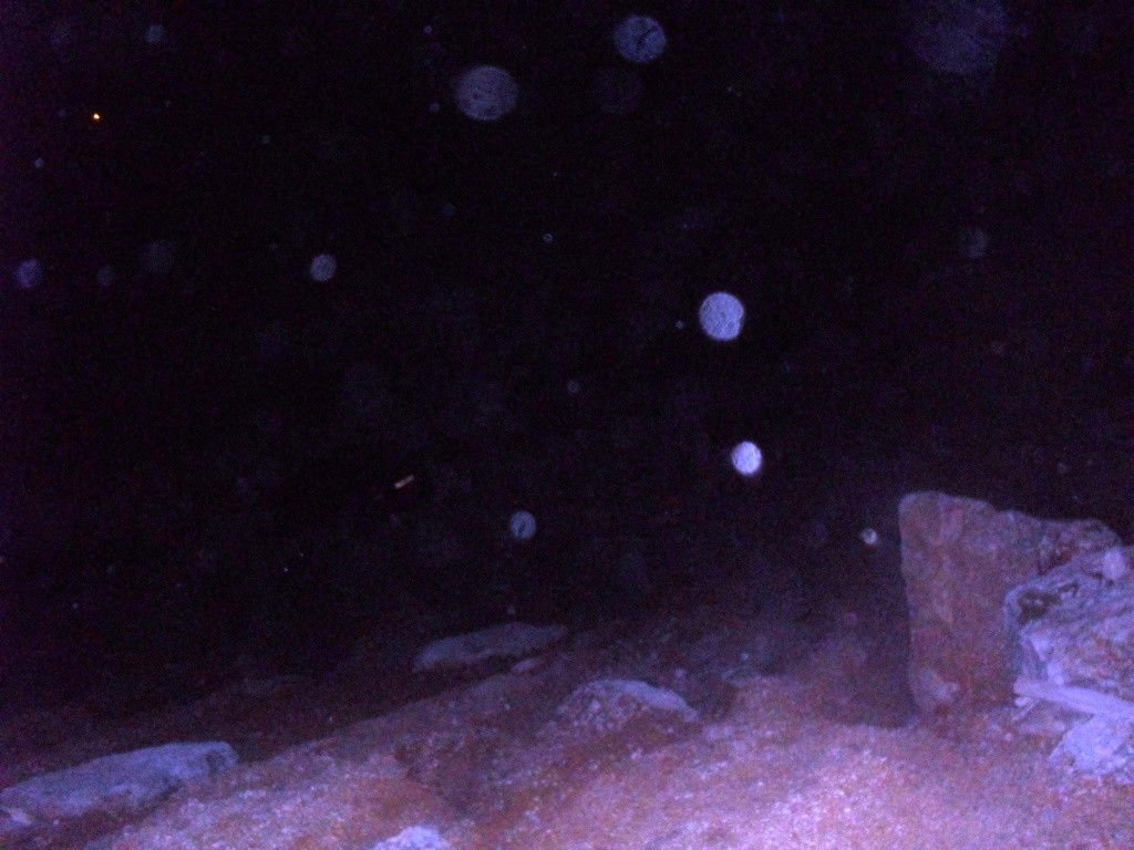 מודיעין עילית: רכב הדרדר לוואדי, נהג נפצע קשה